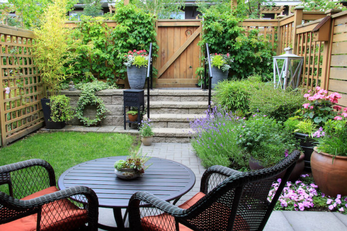 natural pest control lavender